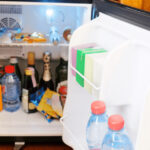 12v Fridge