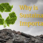 why is sustainability important
