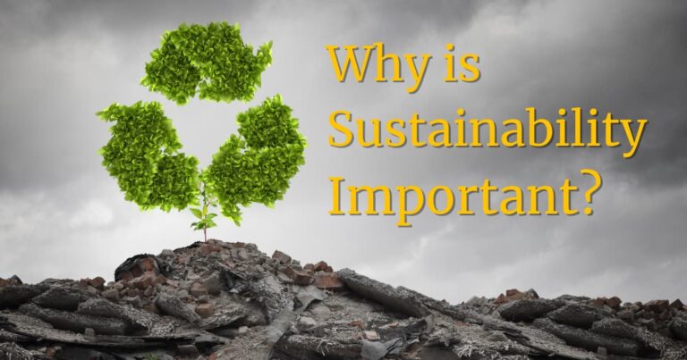 why is sustainability important